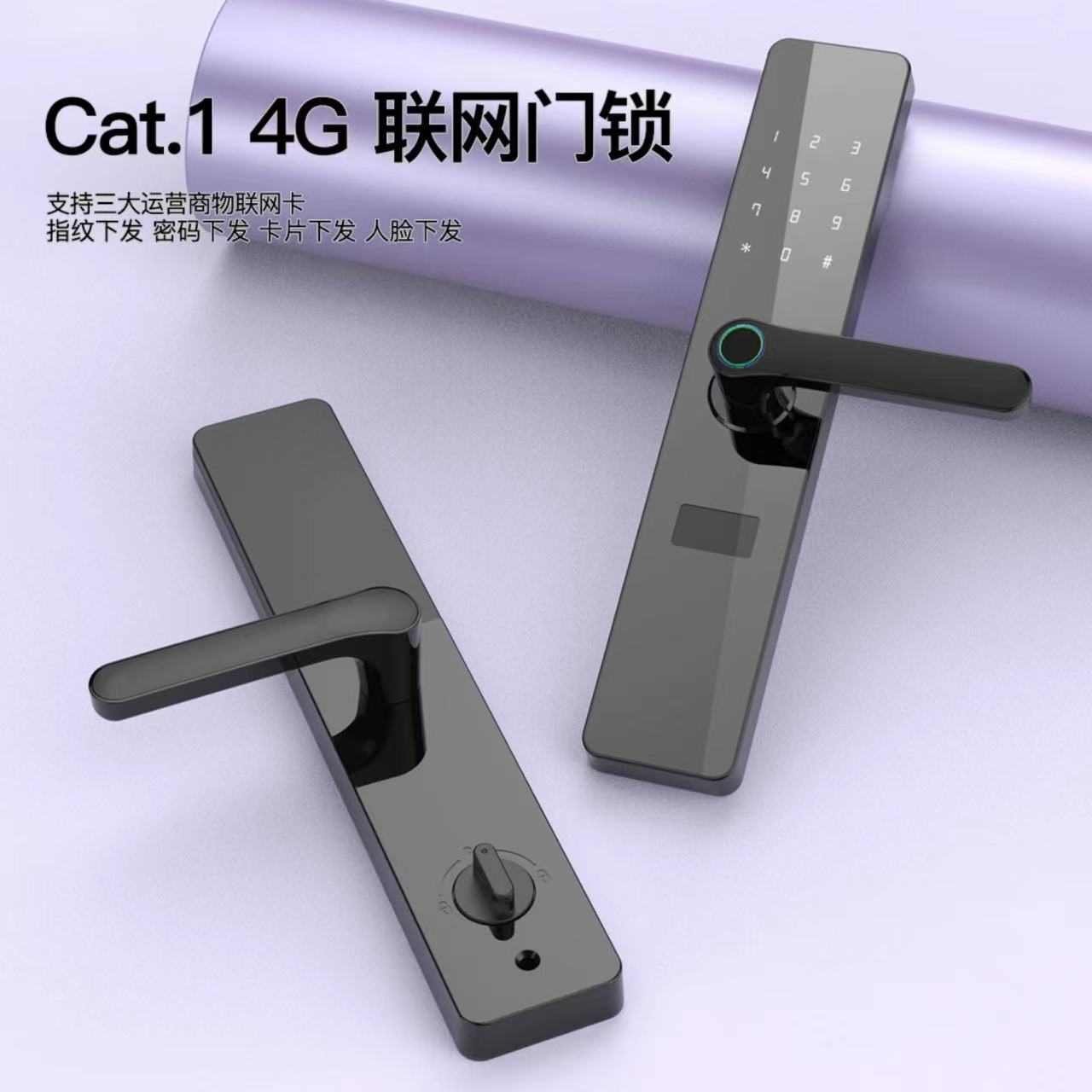F6-GY  4G  cat.1联网校园锁